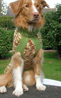 Dogcoats.jpg