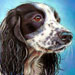 Adele Beverley Pet Portraits