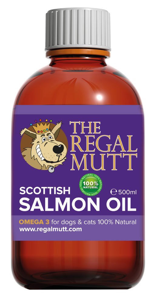 Dogcoats.jpg