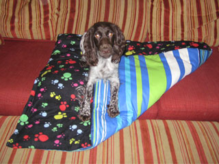 Fletcher - handsome EBT x