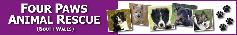Four Paws Animal Resuce - South Wales