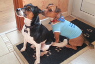 Jaffa and his new friend