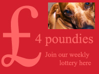 Lottery