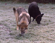 mali and her new brother