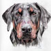 Doggie drawings