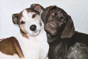 Belle and Tim owned by Gina Owens