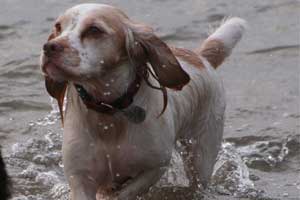Maddie owned by Lisa Smith