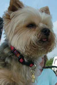 Mia owned by Gina Owens